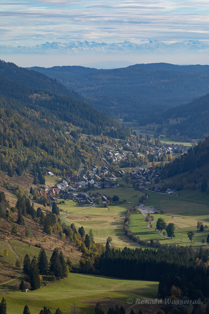 Blick auf Menzenschwand mit Alpen