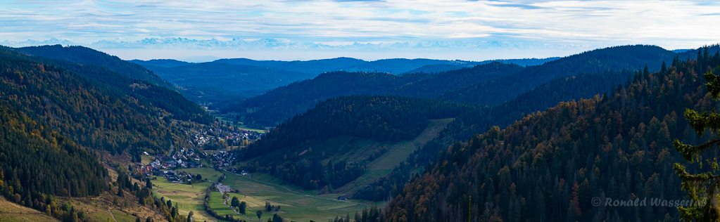 Blick auf Menzenschwand mit Alpen