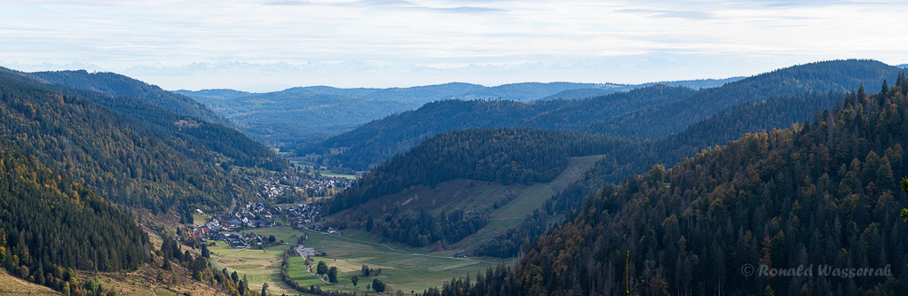 Blick auf Menzenschwand mit Alpen