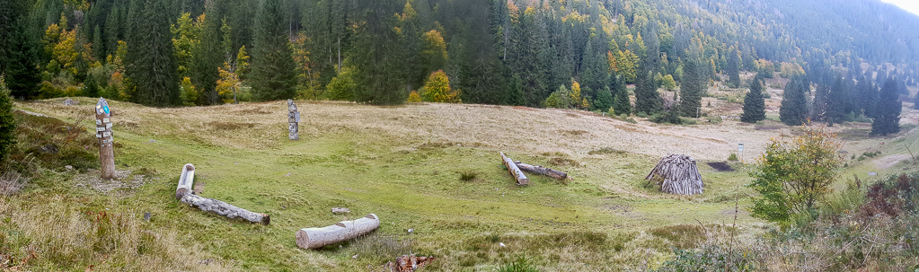 Am Köhlerplatz Menzenschwand