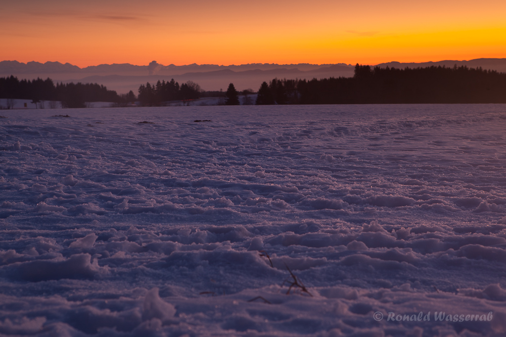 Bei Höchenschwand zur Blauen Stunde