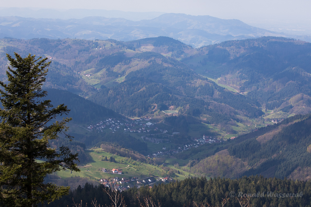 Blick von der Hornisgrinde