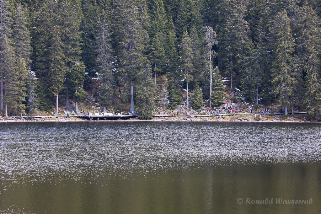Blick auf den Mummelsee