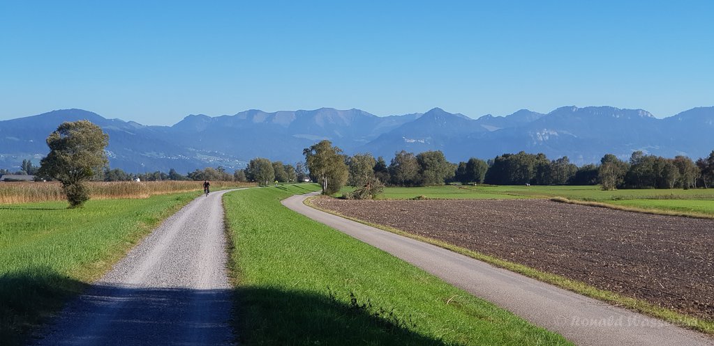 Polder-Damm an der Fussacher Bucht