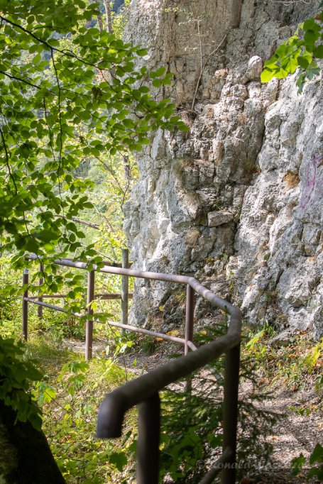Auf dem Alpenbockpfad Beuron