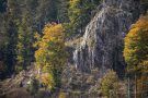 Felsen bei Menzenschwand