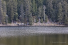 Blick auf den Mummelsee