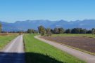 Polder-Damm an der Fussacher Bucht