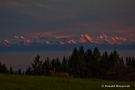 Alpenglühen von Höchenschwand (Südwarzwald) aus