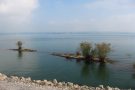 Bodensee am rechten Rheindamm