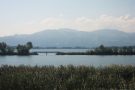 Lagune am linken Rheindamm