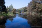 Schleienloch am rechten Rheindamm