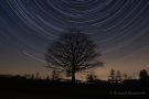 Sternspuren an der Kottenborner Kapelle