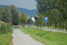 "Notruf-Storch" - Weißstorch (Ciconia ciconia) bei Moos