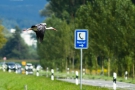 Notruf-Storch