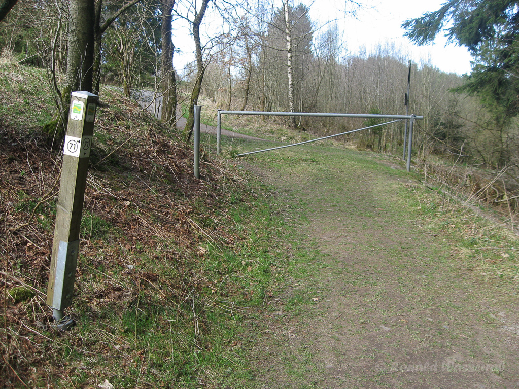 Wegmarkierung Narzissenroute im Fuhrtsbachtal