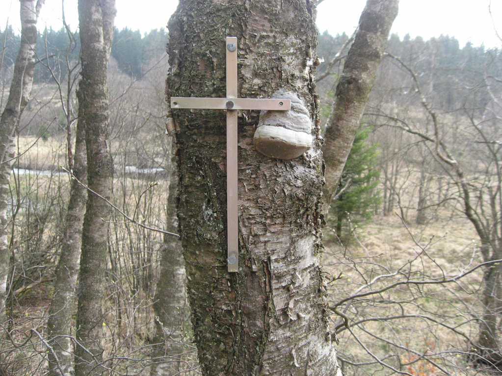 Kreuz an einem Baum unterhalb der Bieley