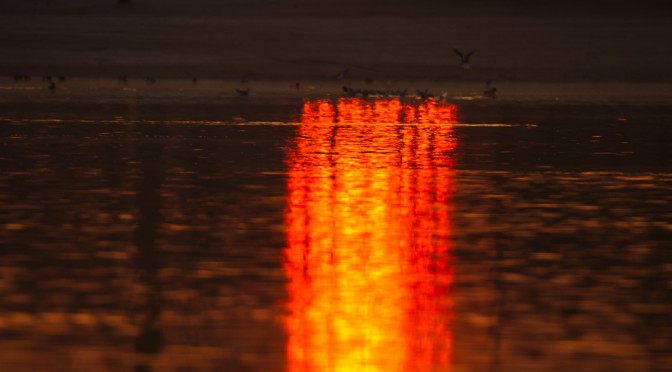 Sonnenaufgang am Badesee Düren