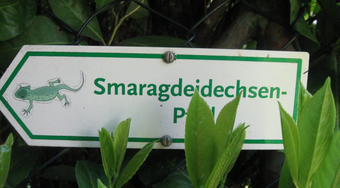 Wegweiser Smaragdeidechsen-Pfad Oberbergen