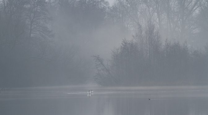 Idylle am kleinen De Wittsee