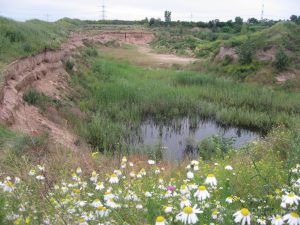 Blick in die Bienenfresser-Grube