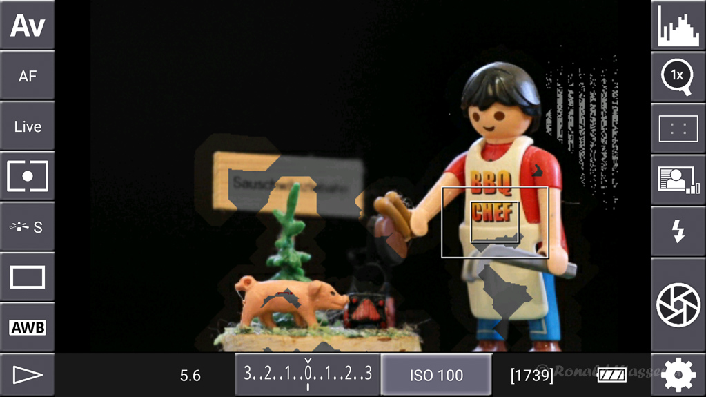 DSLR-Controller Anleitung - Display filter: Peaking Exposure and Grayscale