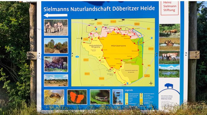 Infotafel Döberitzer Heide