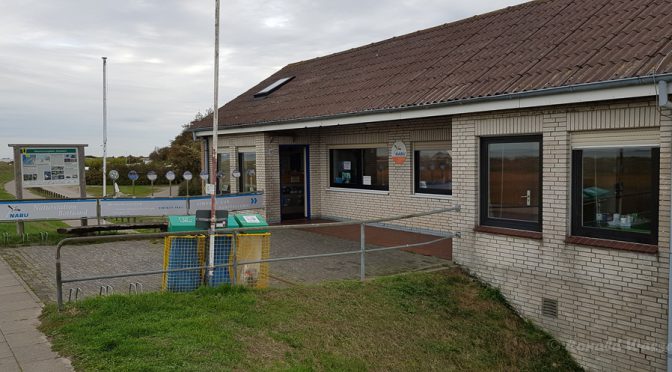 An der NABU-Naturstation Bottsand – Limikolen und Meer