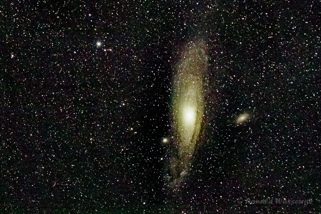 Andromeda-Galaxie (M31 / NGC 224) - Astrofotografie