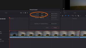 Zeitraffer-Video mit DaVinci Resolve - Änderung der Abspielgeschwindigkeit für Clip 1