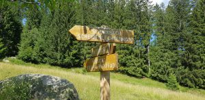 Urlaub in Höchenschwand - Wanderung zum Scheibenlechtenmoos