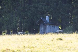 Urlaub in Höchenschwand - Hütte am Scheibenlechtenmoos