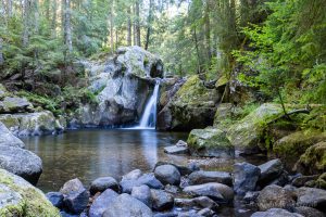 Urlaub in Höchenschwand - Krai Woog Gumpen