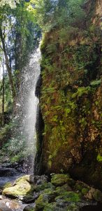 Urlaub in Höchenschwand - Albfall Menzenschwand