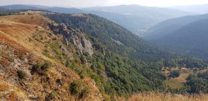 Urlaub in Höchenschwand - Blick auf die Martinswand