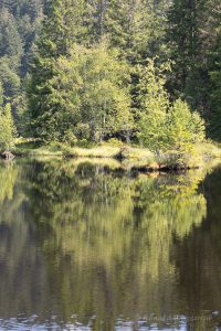 Urlaub in Höchenschwand - Lac de Lispach