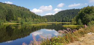 Urlaub in Höchenschwand - Lac de Lispach