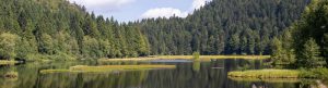 Urlaub in Höchenschwand - Lac de Lispach