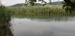 Urlaub in Höchenschwand - Stille Reuss