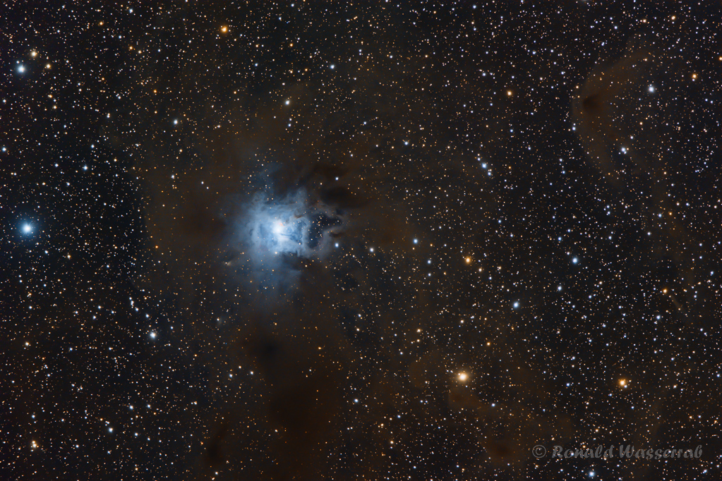 Sternbild Kepheus - Iris-Nebel NGC 7023