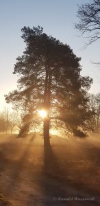 Sonnenaufgang im De Meinweg