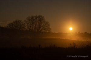 Sonnenaufgang im De Meinweg