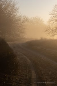 Morgenstimmung im De Meinweg