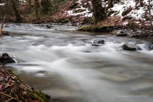 Watteeffekt am Endertbach