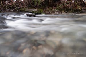 Watteeffekt am Endertbach