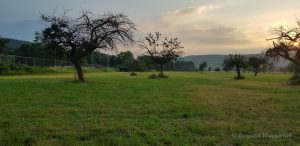 Steinkauzwiese vor der Flutkatastrophe