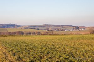 Blick Richtung Votivkapelle