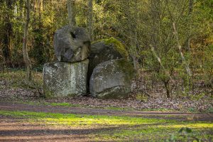 Steine im Rauscherpark