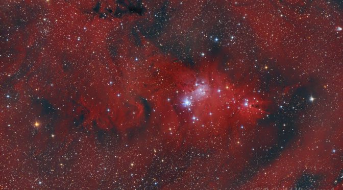 NGC 2264 - Hα-RGB-Kombi