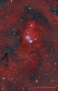 NGC 2264 - Der Weihnachtsbaum-Sternhaufen